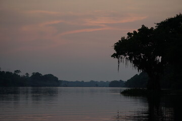 Sunset Amazonas