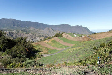 Fototapeta na wymiar View of cultivated field in La Reunion