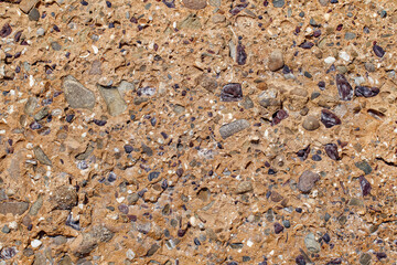 Rock with inclusions of different minerals close-up, uniform texture background .