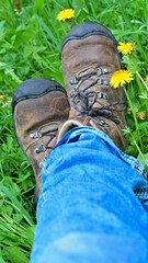 Hiking shoes on summer meadow.