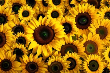 sunflower backgroundhappy birthday, celebration, science, school, shopping, space, flowers, wallpaper, textures, closeup, abstract, background, family, socialmedia, people, technology, interior, trave