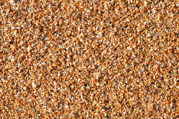 Yellow or  beach sand from small parts of shells close-up, uniform texture background