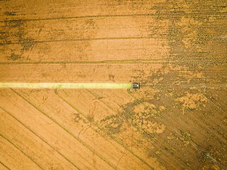 Aerial view of combine harvesting yellow field in summer