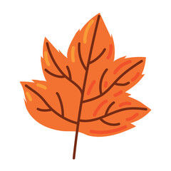 autumn leaf icon