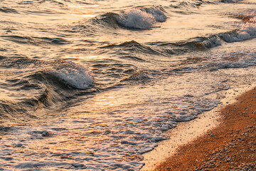 Rolling waves on seashore with shells, close-up, at sunset, glare from  sun on water