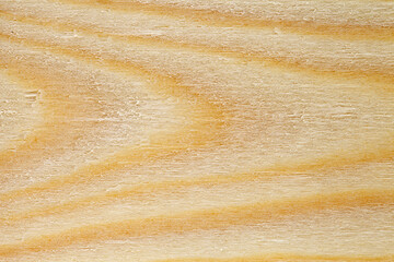 Surface of the  board in close-up uniform texture background, flat