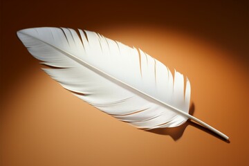 A single feather adds character to a plain sheet of paper