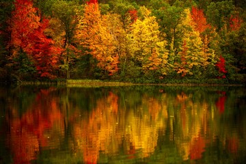 Colorful foliage tree reflections in calm lake water on a beautiful autumn day in Wisconsin
