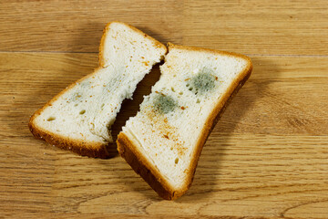 Covered with green mold, spoiled toast bread, spoiled food covered with mold