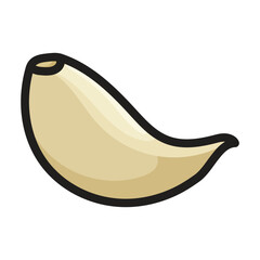 Clove of garlic vector icon.Color vector icon isolated on white background clove of garlic .