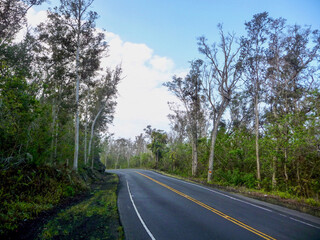 Fototapeta na wymiar panoramic view of landscape along highway 11 on Big Island