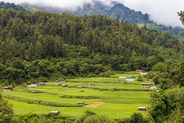 Scenic view of a valley on a cloudy day in Bhutan, landscape with clouds over the mountains 