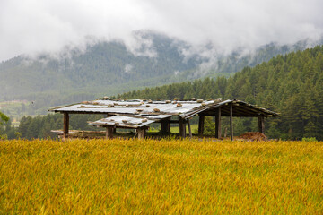 Barn in a field with scenic mountains in the background in Bhutan. View of cowshed in a field in Asia.