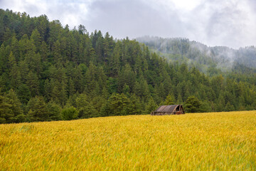 Barn in a field with scenic mountains in the background in Bhutan. View of cowshed in a field in Asia.