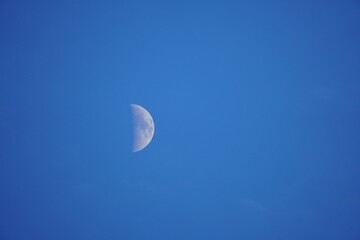 Obraz na płótnie Canvas first quarter moon on the sky