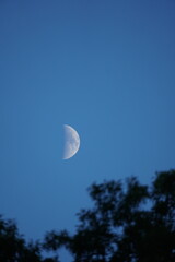 first quarter moon on the sky