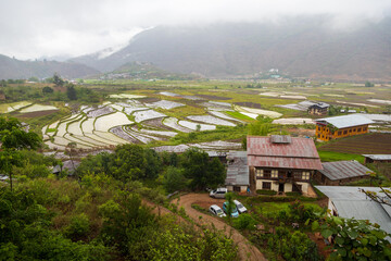 View of fields in Bhutan