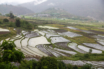 View of fields in Bhutan