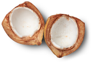 crack opened king coconut, variety of coconut native to sri lanka, where it is known as thambili,...