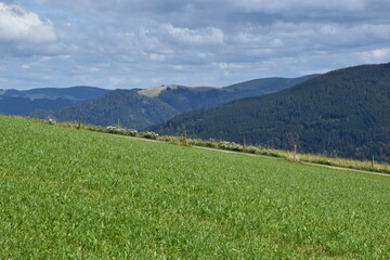 Grüne Landschaft auf dem Schauinsland bei Freiburg