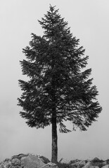 Another Altopiano del Montasio