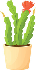 Cartoon cactus in flowerpot. Blooming succulent plant