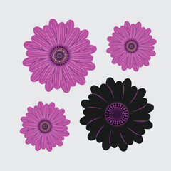 Flower illustration vector, silhouette vector