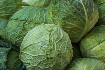 Fototapeta premium Healthy vegetables. Cabbage on the market counter is for sale.