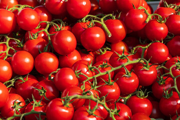 Red Cherry tomatoes in box for sale