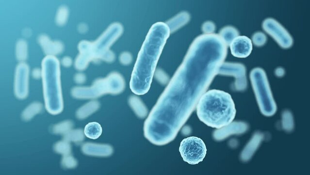 Enterobacteriaceae, gram-negative rod-shaped bacteria, part of intestinal microbiome and causative agents of different infections, 3D rendering. Escherichia coli, Klebsiella, Enterobacter and other