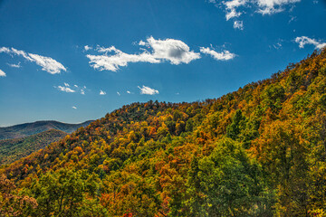 Fall Foliage on a Georgia Hillside