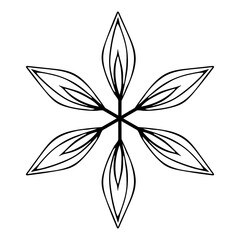 hand drawn doodle snowflake flower, element on a white background