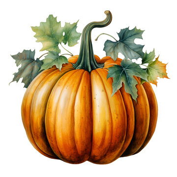 Watercolor autumn pumpkin, Generative AI, png image.