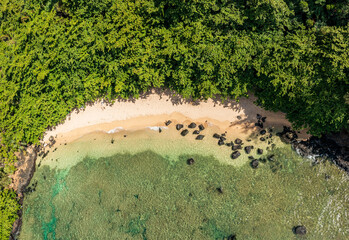 Aerial top down view of the small sandy Sealodge beach in Princeville on the north coast of the...