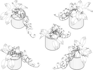 Vector sketch illustration of a plant in a pot