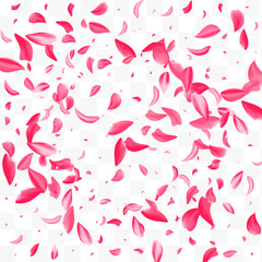 Delicate Floral Japan Vector Transparent