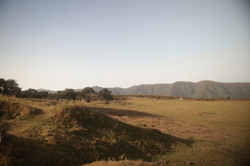 Madeira 2023 Feenwald, Laurisilva