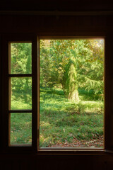 Looking through the window in the dark room can see the beautiful view of the garden lit by sunlight