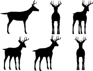 Vector sketch illustration of antelope animal with long horns