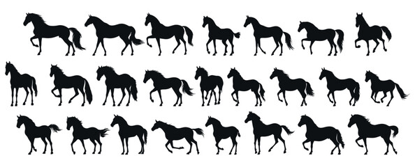 set of silhouettes of horse. horses standing. isolated on transparent background. eps 10