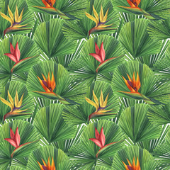 Seamless endless tropical pattern. Pink yellow orange strelitzia flower, bird of paradise, licuala leaf. Hand-drawn watercolor illustration white background. For textiles, wrapping paper, wallpaper