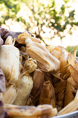 Tamales mexicanos recién salidos de la olla.