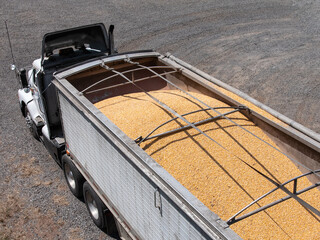 Grain truck filled with corn © Jacob Mathers
