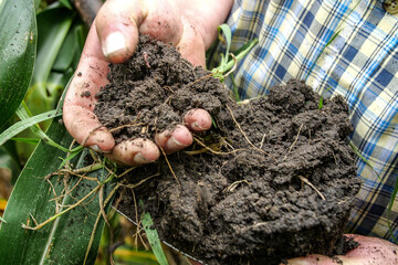 Heathy soil from regenerative agriculture field