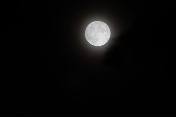 Obraz premium blue full moon over sky