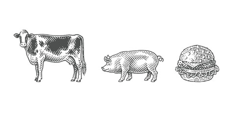 Pig, cow and cheeseburger. Fast food. Hamburger. Hand drawn engraving style illustrations.