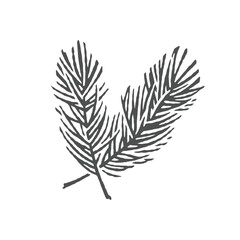 Sprig of spruce. Christmas decoration. Hand drawn engraving style illustrations.