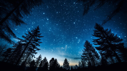 Night Sky with Stars and Silhouetted Trees