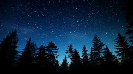 Fototapeta na wymiar Night Sky with Stars and Silhouetted Trees