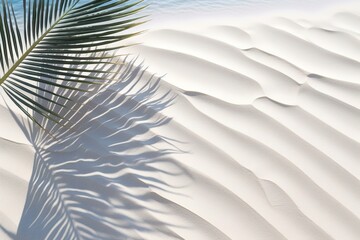 Palm leaf shadow on abstract white sand beach background, sun lights on water surface, beautiful...